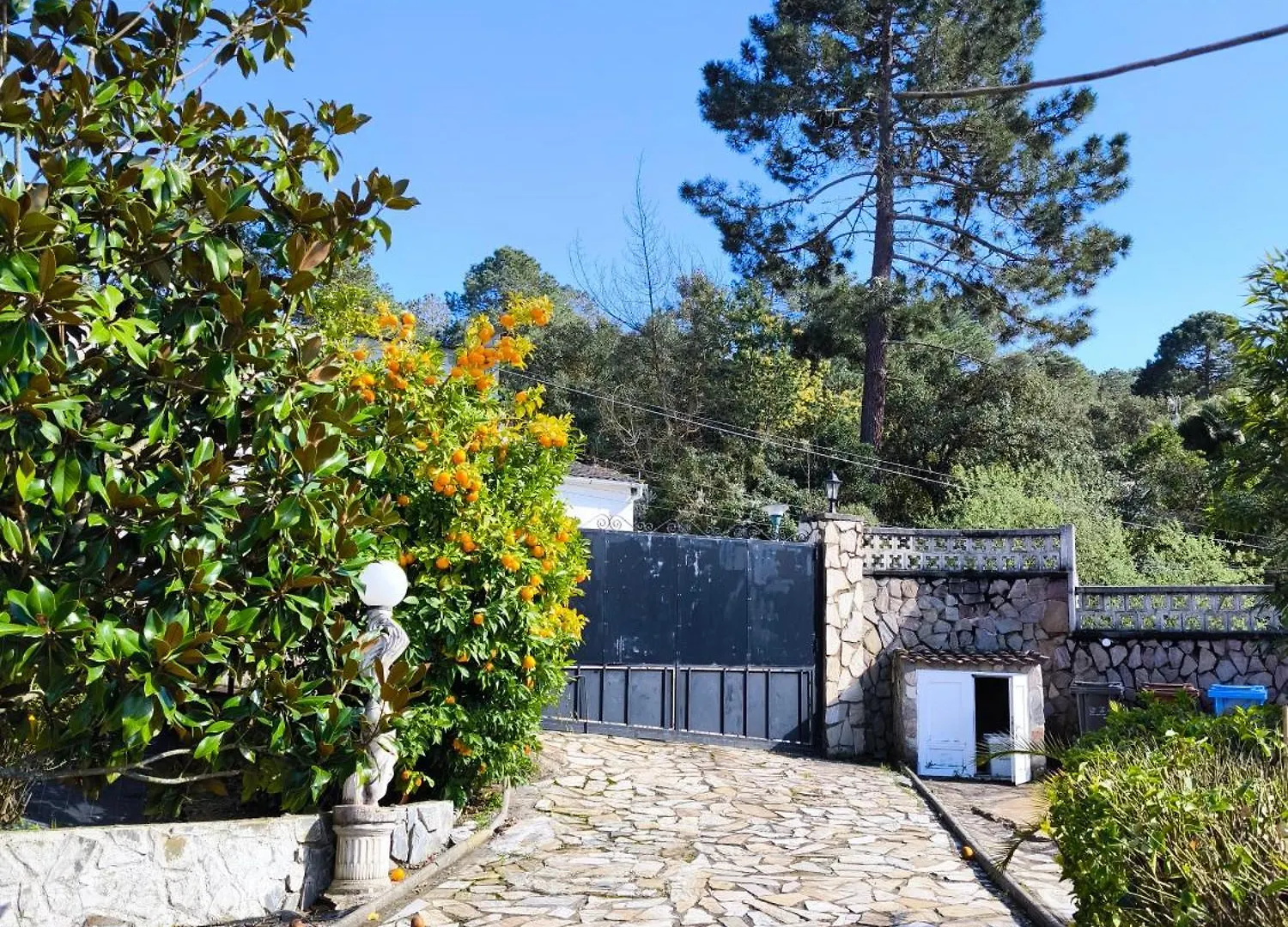 Villa Aphrodite Puigventos 0*,  西班牙